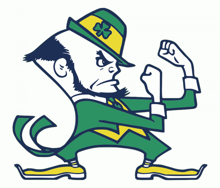 Notre Dame Fighting Irish 1984-Pres Alternate Logo diy fabric transfer